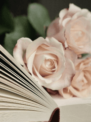 베니바야시 로쿠코