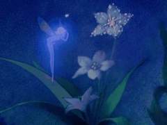 Demetia Crocus Mariposa