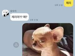 주술회전 드림 카피페 7