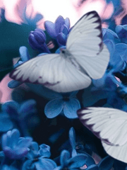 우리, 여기 있어!