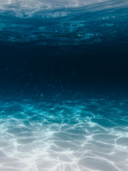 [앙스타] 카나카오 - 바다처럼 순수하고 신비로운 꿈