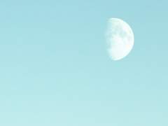 :: Themis R. Arrieta ::