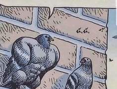 난 날지않아 그거 유산소잖아