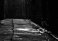 ℂ𝕖𝕤𝕔𝕙𝕖𝕣 / 25