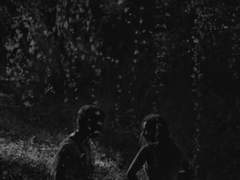 시리우스 블랙과 정략결혼-외전