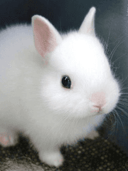 썰/소재방 (정국중심)