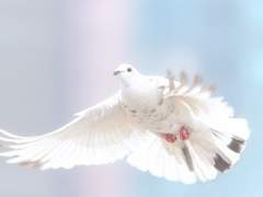 상멸커 비밀설정