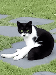 이런 영웅은 싫어