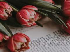 TO. Adela Ethan Hensley