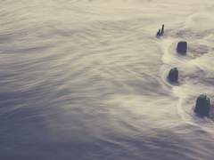 원피스 / 패왕색은?