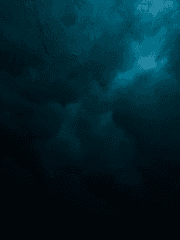 그 길드 이야기