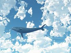 나카시타 리츠코 / XX /인간 / 18세