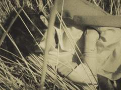 가위로도 끊을 수 없는 것.