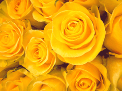 너에 대한 대답