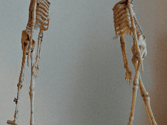 연성교환 및 맞커미션 안내