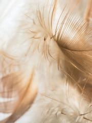 [앙스타] 에이레이 - 너를 내 손에 넣을 수 있다면