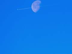 오필리아 J. 휴 XX 그리핀도르