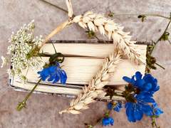 따스한 겨울의 빛