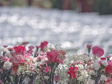 갓슈벨 │ 가족, '愛' 上