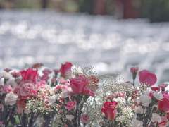 갓슈벨 │ 가족, '愛' 下