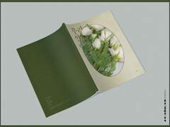 [작업 완료] 우리가 알기 어려운 것들