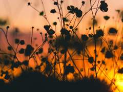 TO. Adela Ethan Hensley