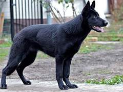 잠시 몸 수색이 있겠습니다. 양 팔 벌려 머리 위로 올려주십시오.