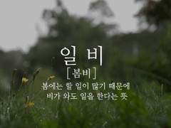 내가 애정하는 모두에게