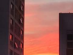 시원한 바람이 나의 옷깃에 스치 듯