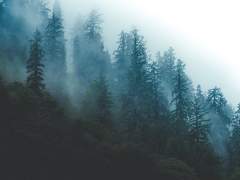 그들이 돌려받고자 했던 어느 하루