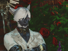 베즈'토 체조 Vez'to Chezo