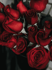 그녀가 공작가에 가게 된 사정×전독시