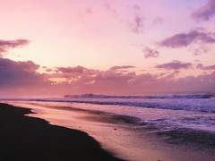 [에른 C. 다이어넷/2학년/마법부]+1회