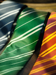 해리포터X전독시