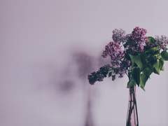 [적중률 참가] 계절의 시작