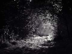 [마비노기] 눈꺼풀 안의 낙원 中