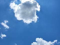 완벽주의자 외톨이 2