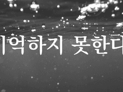 🌊기억하지 못한다.