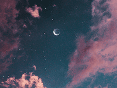 예성화 / 불명 / 소원인가 바람인가