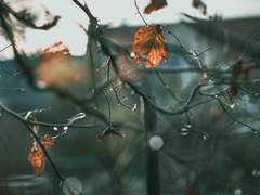 [욱맠] 사랑의 단상 5