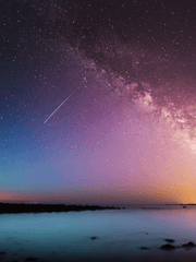 Profile. 황도 12궁