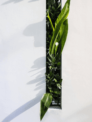 [하이큐] 식물관찰일지