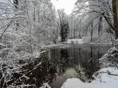 사랑을 연료로 움직이는 로봇