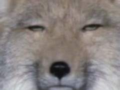 자기계발서가 좆같은 이유