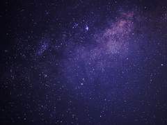 생명 그에 대하여