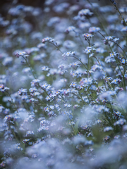 영원이 떠난 자리