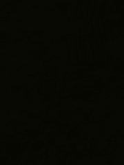 사장님이랑 셰프님이랑 무슨 사이래?