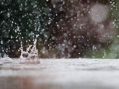 [국민] 담장 너머의 정원 16