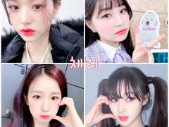 체리 폴라필터 예시