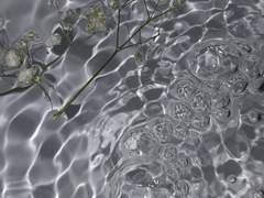 네가 이 넓은 바다라면*